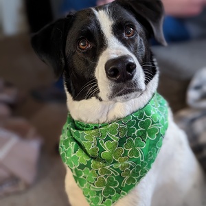 Fundraising Page: Kathy Habesch